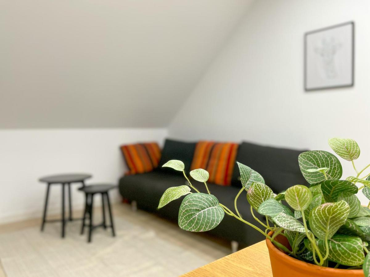 Ferienwohnung Schoenes Maifeld Polch Екстериор снимка